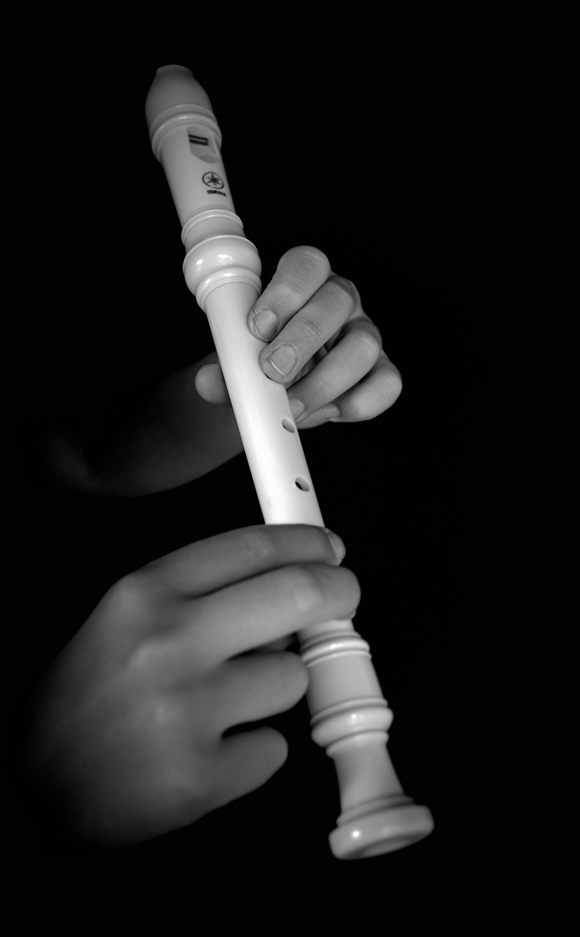 the-flute-6609536_1920